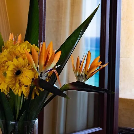 Hotell Grande Delle Rose (adults Only)